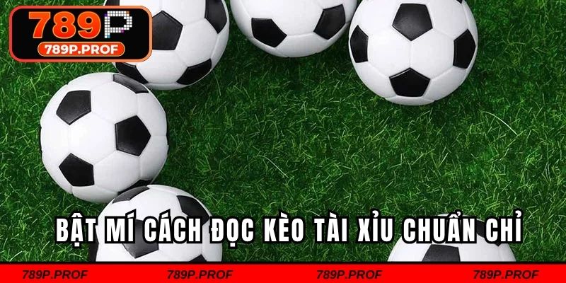 Bật mí cách đọc kèo tài xỉu chuẩn chỉ