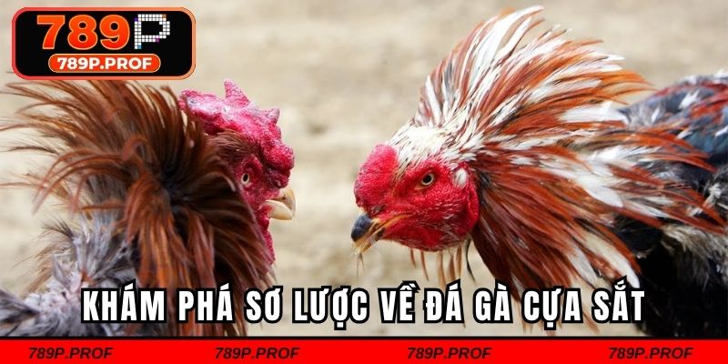 Khám phá sơ lược về đá gà cựa sắt