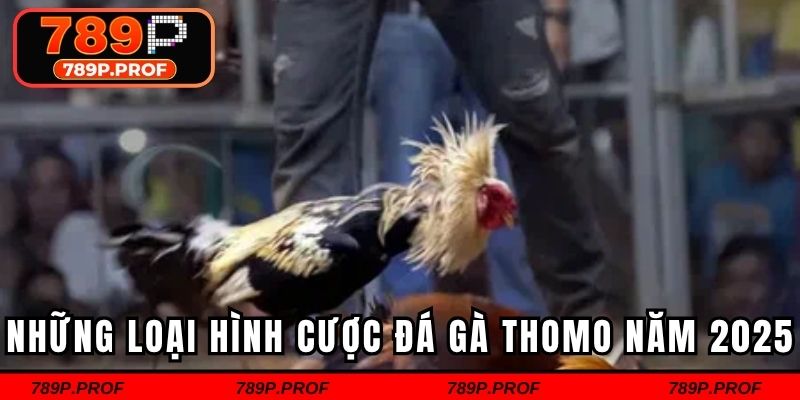 Những loại hình cược đá gà Thomo năm 2025