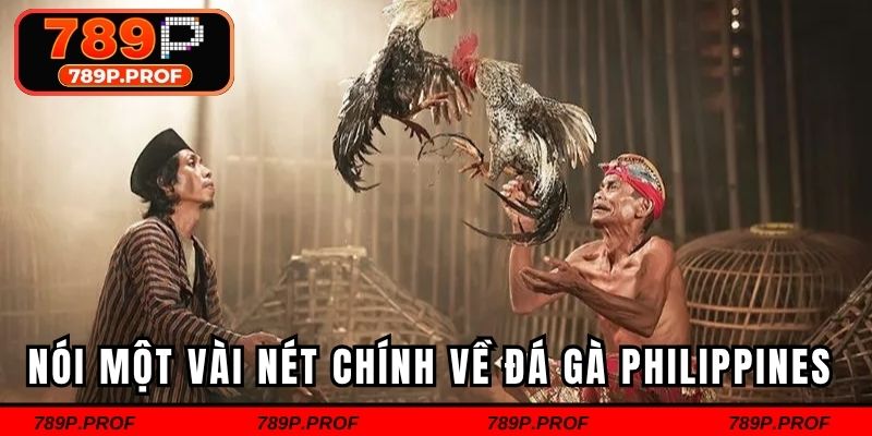 Nói một vài nét chính về đá gà Philippines